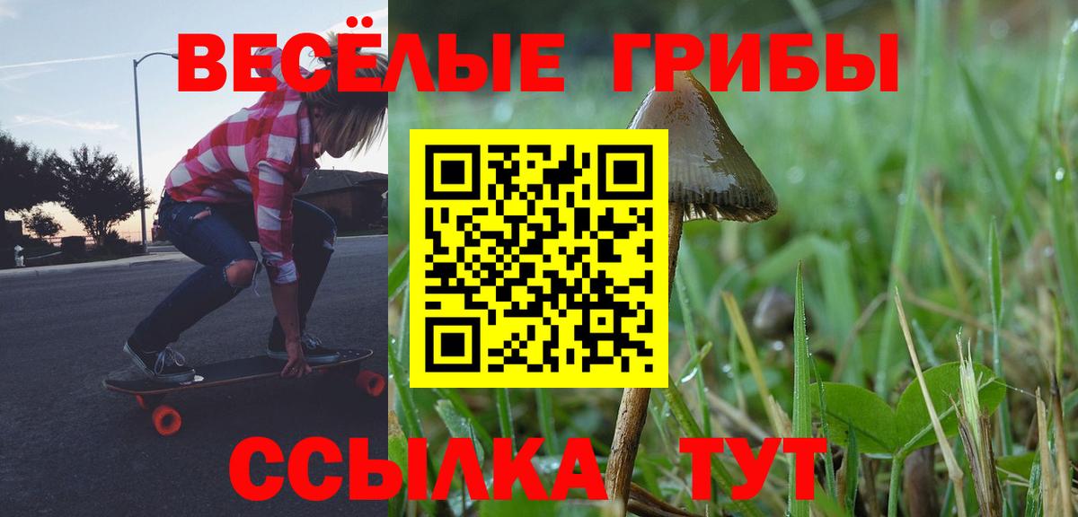 Псилоцибиновые грибы прущие грибы  Вход с VPN  Гусиноозёрск  Галлюциногенные грибы MAGIC MUSHROOMS 